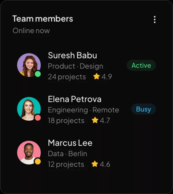 Team members widget